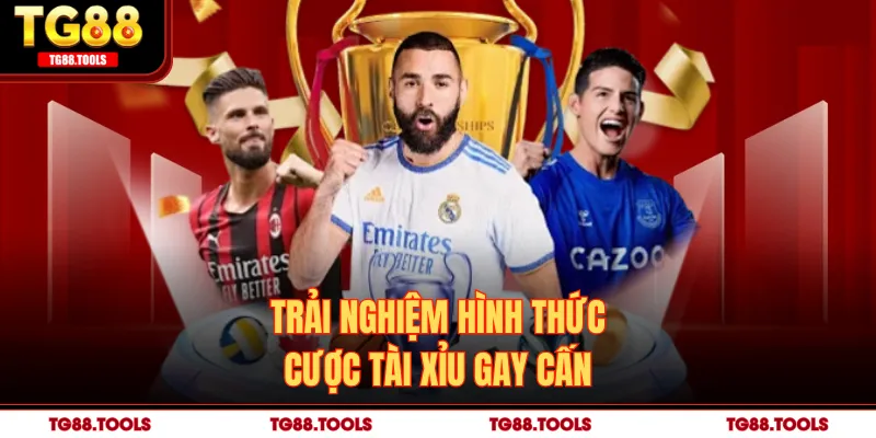 Trải nghiệm hình thức cược tài xỉu gay cấn